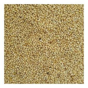 Green Valley Pannicum Millet For Budgies 20kg