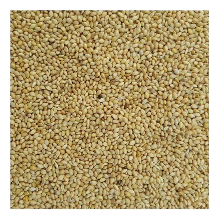 Green Valley Pannicum Millet For Budgies 20kg