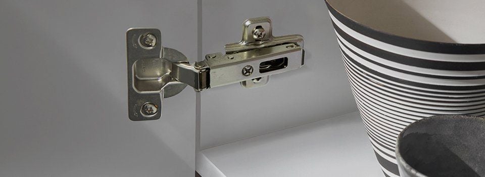 Cabinet hinge with bowl in cabinet.