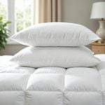 Duck Feather & Down Quilt 500GSM + 2 Pack Pillows Combo White Queen
