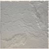 Paver Fossil Natural