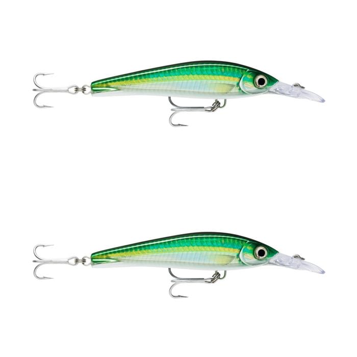 2x Rapala 16cm X Rap Magnum Xtreme Shallow Dive Troll Fish Lure -HD Bigeye Scad