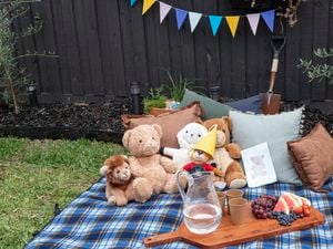 DIY Advice Image - How to create a teddy bear�s birthday . Elvis and Personal SharePoints blob storage upload.