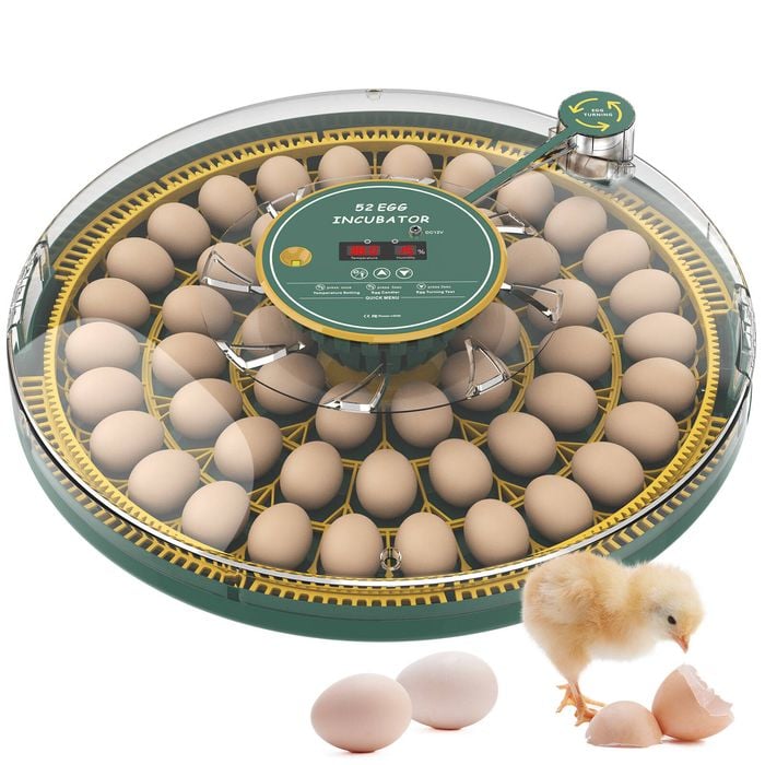 Advwin 52 Egg Incubator with Egg Candler