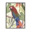 Artey | Tropical Parrot Composition III - Framed Canvas - Black Frame - 90 x 120cm