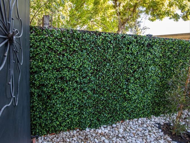 hedge artificial  Vertical Garden