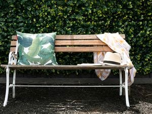 Outdoor bench seat with cushion against a wall of green leaves