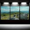 3pcs Mountain Top Scenery Green Forest Print 100% Australian Made 3 x 40x60cm (Metal Print)