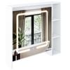 Ufurniture 730 x 700mm Bathroom Mirror Cabinet LED Medicine Storage Vanity Cupboard Wall Mount White