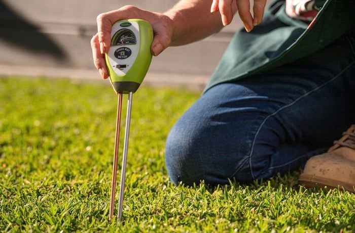 Navigating nature's quirks for a healthy yard