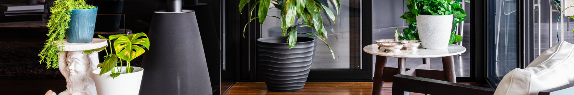 Living room interior with 4 indoor plants using Eden pots