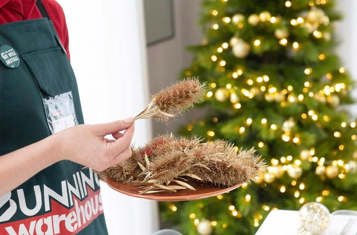 Person holding sprigs of bottlebrush sprayed gold