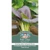 Mr Fothergill's Pak Choi Red Choi F1 Seeds