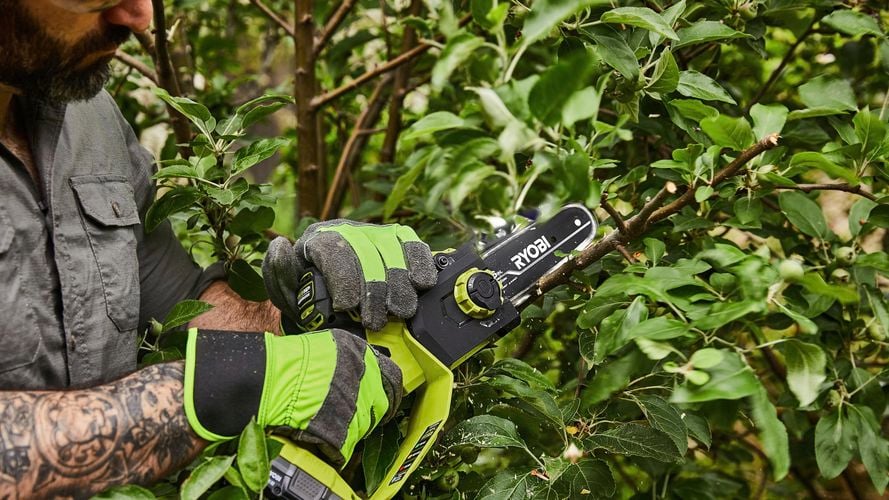 A person using a small chainsaw to trim the branches of a small tree.