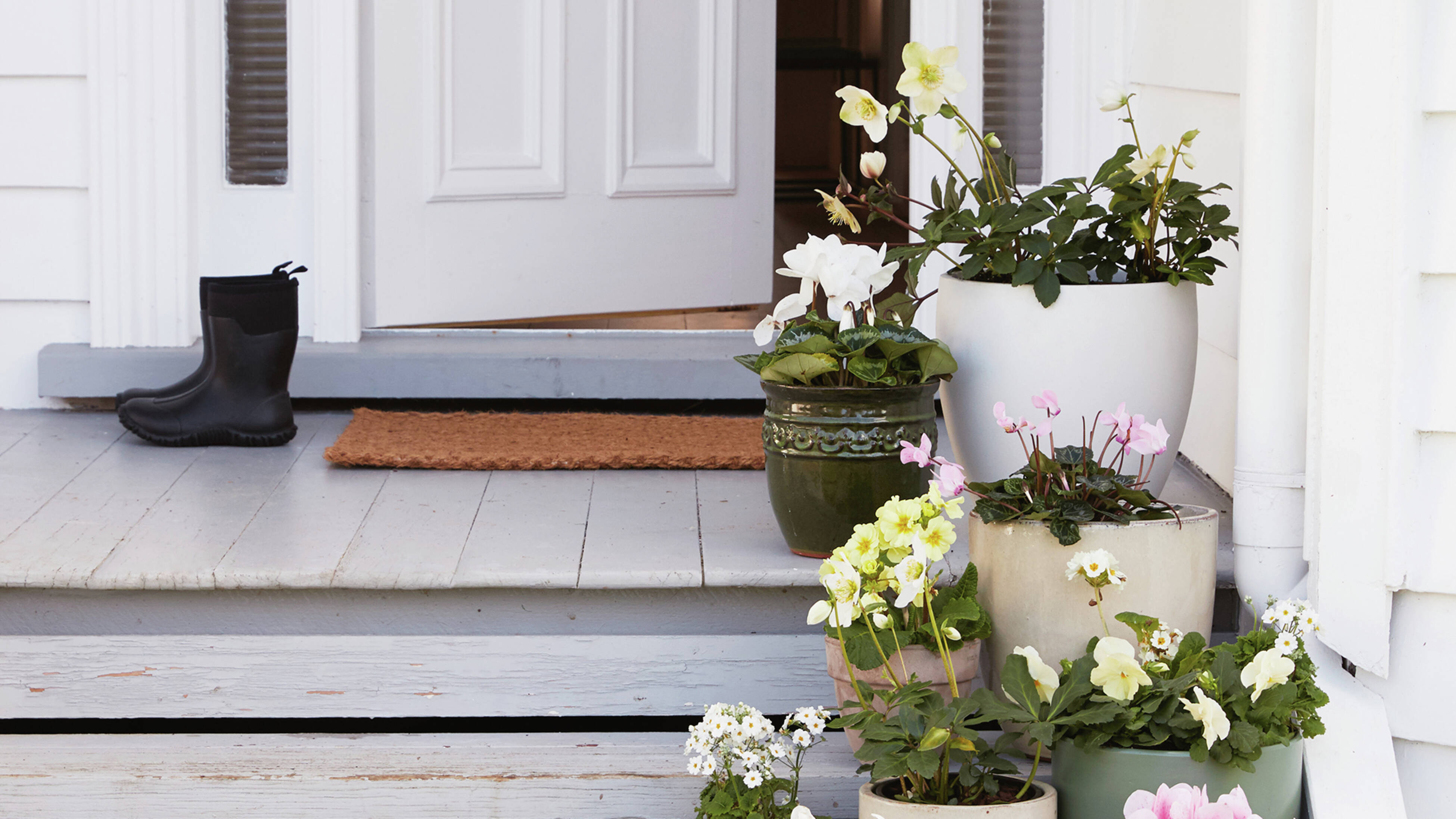 A front verandah with flowing pot plants, a pair of black gumboots, a door mat and a front door slightly ajar