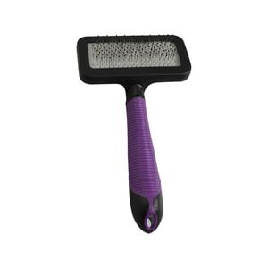 Cat Grooming & Hygiene