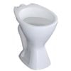 Caroma Concorde Left Hand Skew Trap Toilet Pan