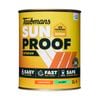 Taubmans 1L Accent Low Sheen Sunproof Exterior Paint