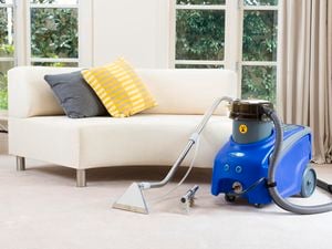 For Hire: Britex 3in1 Deep Cleaning Machine : Carpet - 48hr