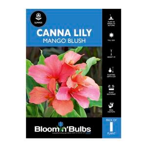 Bloomin' Bulbs Canna Lily Mango Blush - 1 Pack