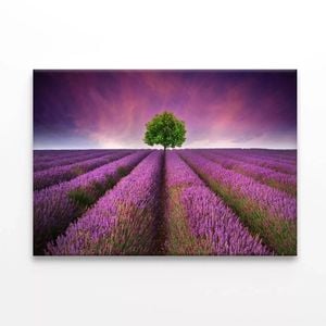 Lavender Field Sunset with a Tree  Print 100% Australian Made 120 x 90cm  (Stretched)