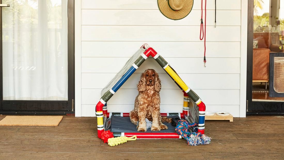 How To Make A D.I.Y. Dog House Bunnings Australia