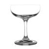 Olympia Champagne Glasses Bar Collection Crystal 6 Pack 200ml Stemware Glassware
