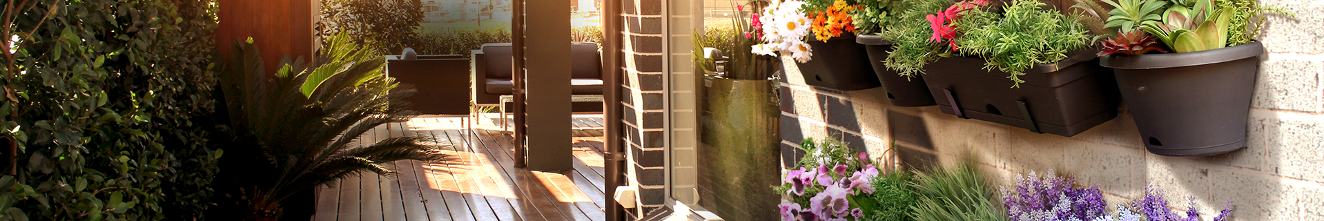 Outdoor area with vertical garden wall.