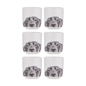 3x 2pc Ashdene Peeking Pups Ceramic Egg Cups Serveware Set Labrador