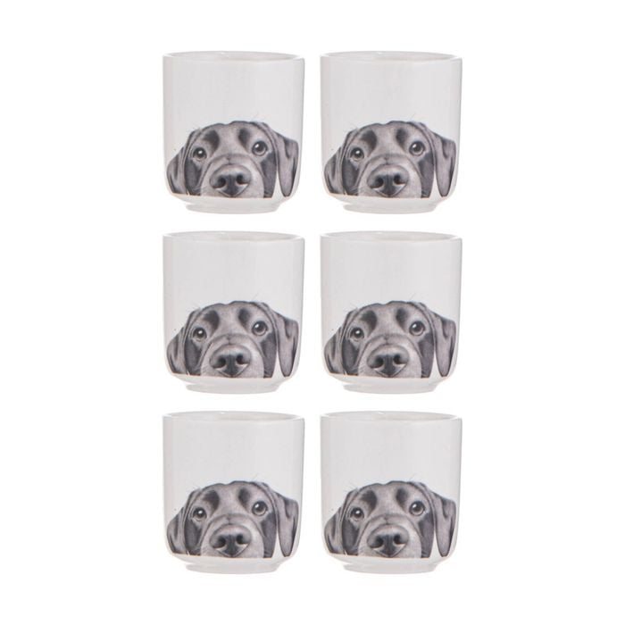 3x 2pc Ashdene Peeking Pups Ceramic Egg Cups Serveware Set Labrador