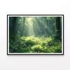 Morning in the Forest  Print 100% Australian Made 90x60cm  (Poster)