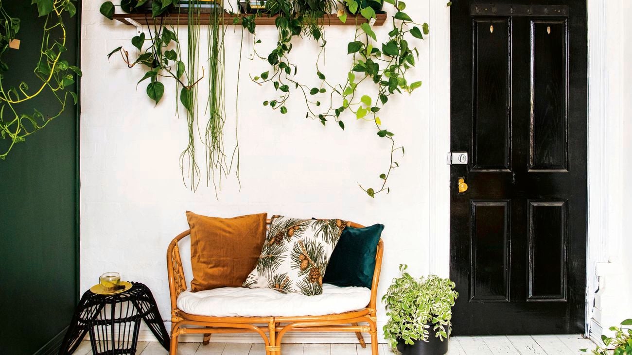 Indoor climbing plants on a timber floating shelf beside a front door in an entryway featuring a cane two-seater chair and side table