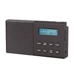 Laser DAB/FM Portable Radio with Bluetooth Speaker - Black