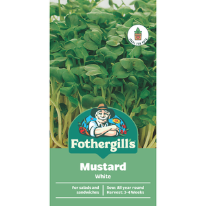 Fothergill's Mustard White Vegetable Seeds
