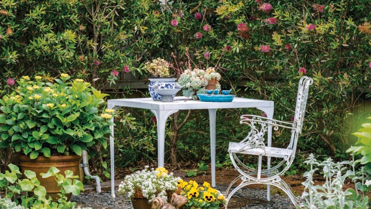 Pink bottlebrush bushes surrounding a white outdoor table and chairs.