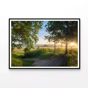 Footpath, Sunrise with Trees  Print 100% Australian Made 90x60cm  (Poster)