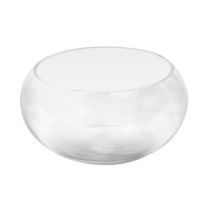 Eden 18cm Glass Low Bowl Planter