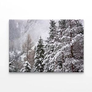 The First Big Snowfall of winter   Print 100% Australian Made 150 x 100cm  (Stretched)