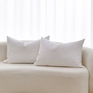 Dreamaker Cushion Insert White Duck Feather Fill Twin Pack 40x60cm