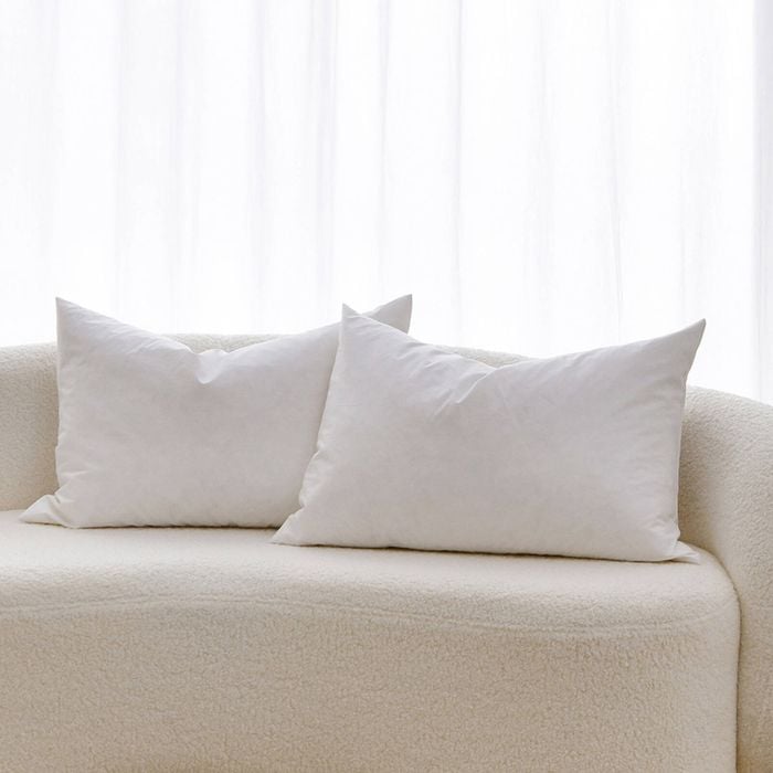 Dreamaker Cushion Insert White Duck Feather Fill Twin Pack 40x60cm