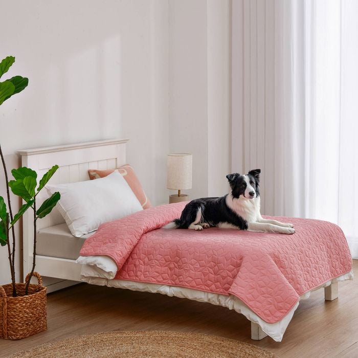 Charlie's Sofur Waterproof Dog Bed Cover Protector Single/king Single 132x208cm Pink