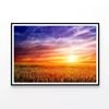 Green Field with Sky   Print 100% Australian Made 90x60cm  (Poster)