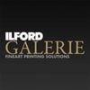 Ilford Canvas Protect - 4 Ltr Semi-matt Liquid Laminate