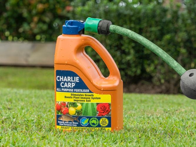 Charlie Carp All Purpose 2.2L Hose On 2961446