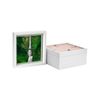 Nicola Spring 10" x 10" White 3D Box Photo Frames - 8" x 8" Mount - Pack of 5