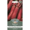 Mr Fothergill's Cylindra Beetroot Vegetable Seeds