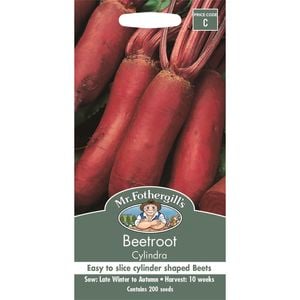 Mr Fothergill's Cylindra Beetroot Vegetable Seeds