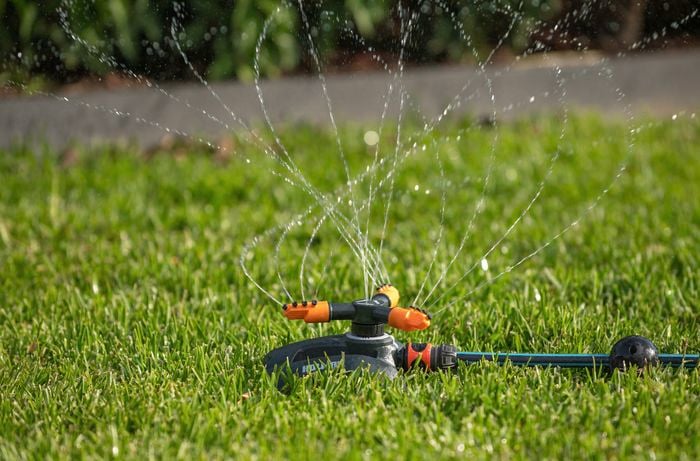 watering the lawn using a sprinkler