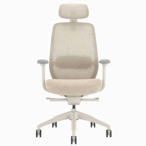 Desky CoilFlex Ergonomic Office Chair with Headrest