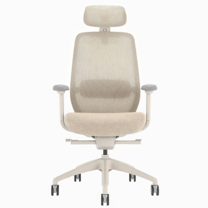 Desky CoilFlex Ergonomic Office Chair with Headrest